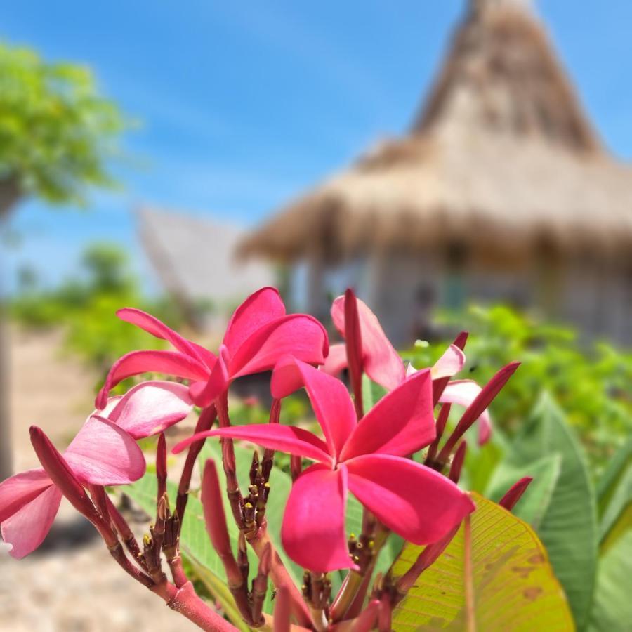 Hars Garden Sumba Hotell Waingapu Eksteriør bilde